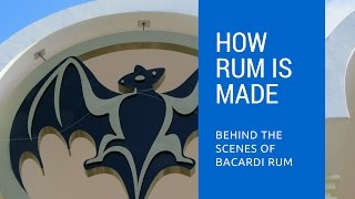 How Rum Is Made: Behind The Scenes of Bacardi Rum Distillery