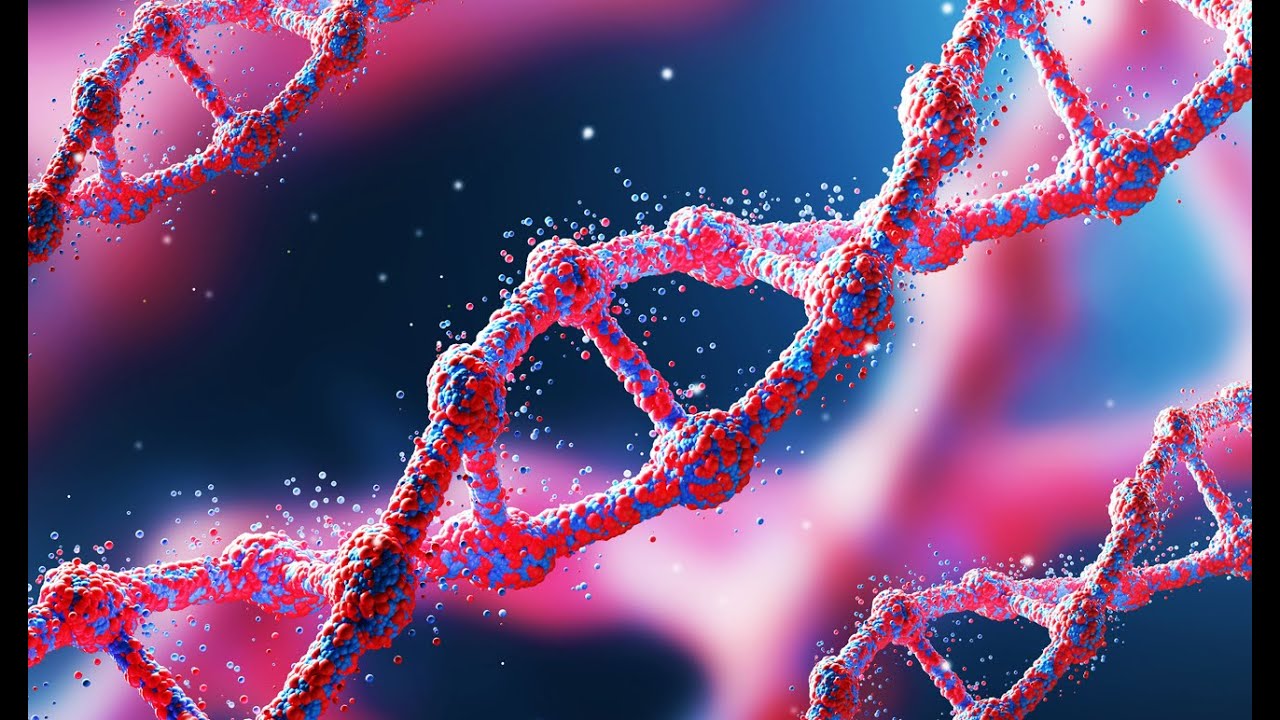 Secrets of HUMAN DNA | How Our Genetic Code Shapes Us 🧠👶🧪"