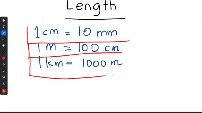 Paypoqdagi ajoyib eshak video