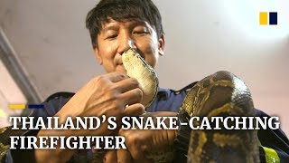 The Thai firefighter who catches snakes with his bare hands