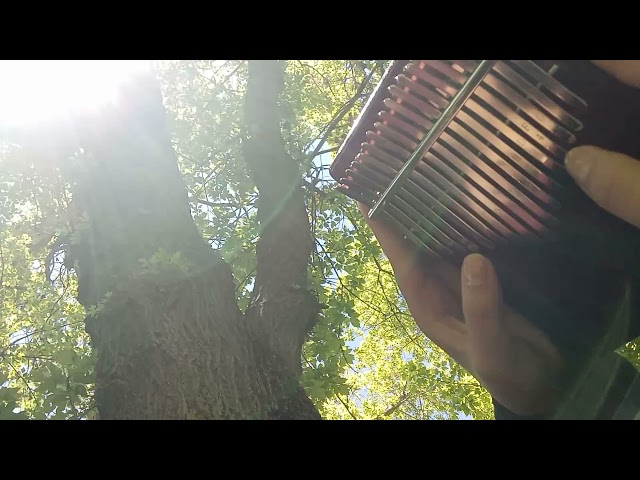 The Untamed Luan Po Chao (Kalimba Cover) class=