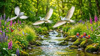 🎹 Relaxing Piano and Spring Bird Sounds 🕊 Deep Relaxation Music for Anxiety Relief & Calm Mind screenshot 4
