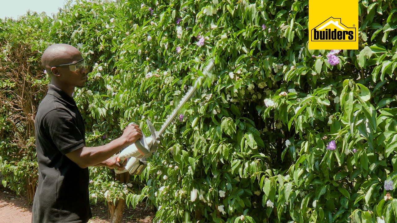 Hedge Trimming With The Ryobi Cordless Hedge Trimmer - YouTube