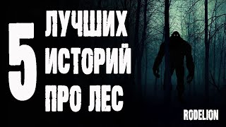 Страшные истории про лес. Сборник лучших историй про лес канала Rodelion.