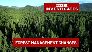 Proposed changes to federal forest management spark renewed logging debate in Oregon
