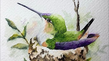 Watercolor hummingbird in nest paint along tutorial demo