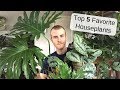 My Top 5 Favorite Houseplants | Summer 2019