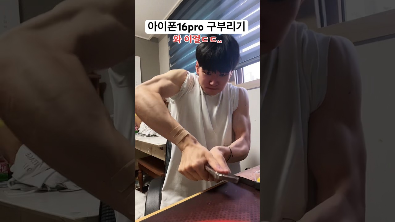 님들은 못하는 아이폰 구부리기ㅋ 