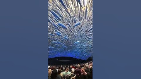 Vision Technology Is Redefining How We Work | The Power of Computer Vision & Visual AI