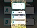 What is the medical term for "bad breath"? #education #quiz #gumproblems #oralproblems #dentalpain
