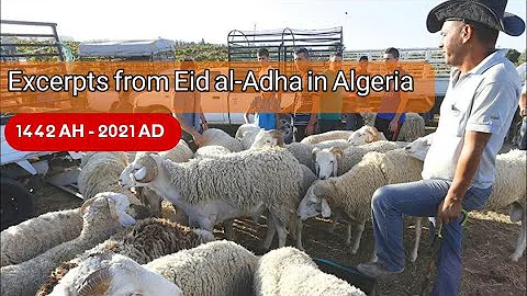 Excerpts from the blessed Eid al-Adha in Algeria - 1442 AH