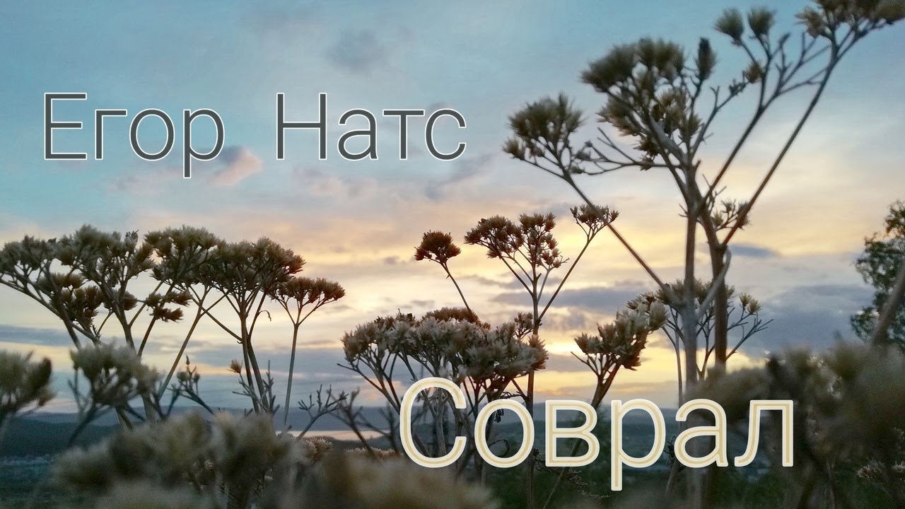 Натс соврал. Натс соврал