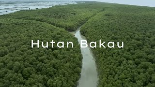 HUTAN BAKAU || Video Laporan Hasil Observasi