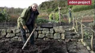 10 tips for gardeners in December from the Eden Project