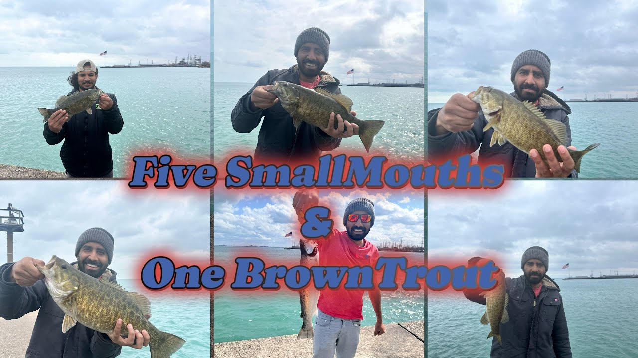 Chicago Fishing: Smallmouth Bass are Going Crazy, Caught a Brown Trout Too