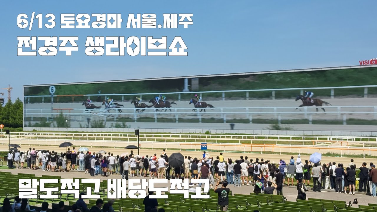 말도 적은데 역쉬나 내가사면 사착!
