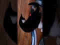 Sounds For Cats 💖 Squeaky Mouse Toy For Cats &amp; Kittens - Prank #shorts