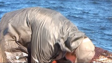 Commercial fishery in Ostrobothnia - Hoop- and trap net fishing part 2