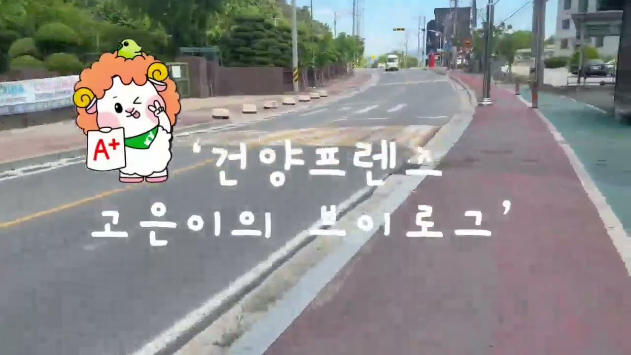 고은 프렌즈의 글로벌의료뷰티학전공 소개 브이로그