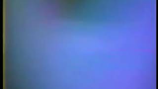 Bob Dylan - In The Summertime (Live '81)