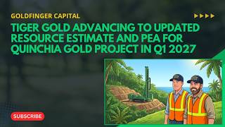 Tiger Gold Advancing To Updated Resource Estimate And PEA For Quinchia Gold Project In Q1 2027