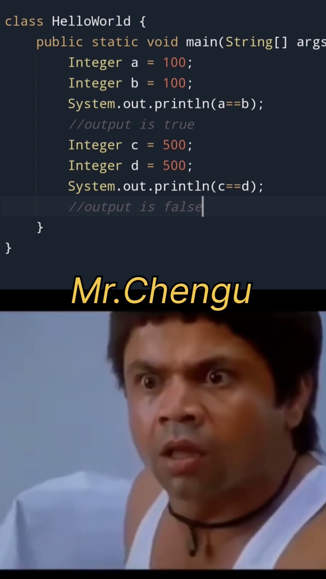 Mr.Chengu 