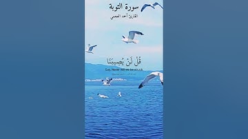 قل لن يصيبنا إلا ما كتب الله لنا . ماتيسر من سورة التوبة بصوت القارئ أحمد العجمي.