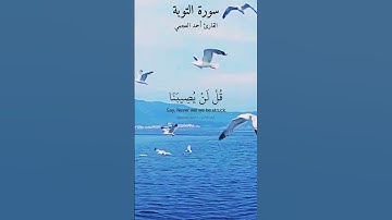 قل لن يصيبنا إلا ما كتب الله لنا . ماتيسر من سورة التوبة بصوت القارئ أحمد العجمي.