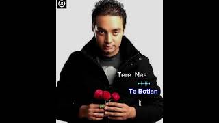 'Tere Naa Te Botlan Song Mp3 Punjabi Hit Song | Sippy Gill Song Hit #sippygill