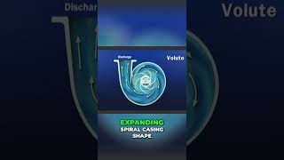Velocity Pumps Explained: Impeller Power & Water Flow #shorts