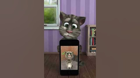 Talking Tom Thomas & Friends Roll Call