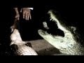 Alligator Death Roll in Super Slow Motion | The Travel Edit