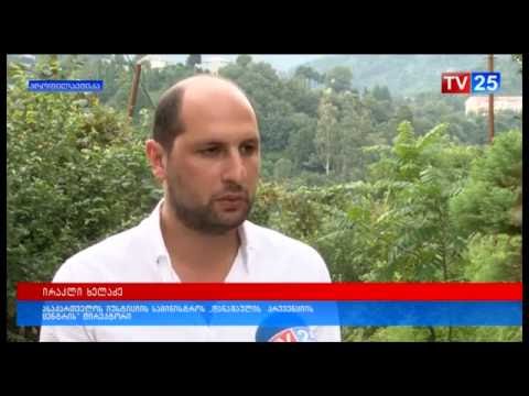 ყოფილი პატიმრის ბიზნესიდეა დაფინანსდა