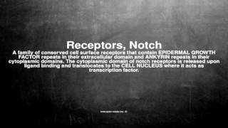 Medical vocabulary What does Receptors Notch mean