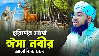 হরিণের সাথে ঈসা নবীর অলৌকিক ঘটনা | mufti jahirul islam faridi waz