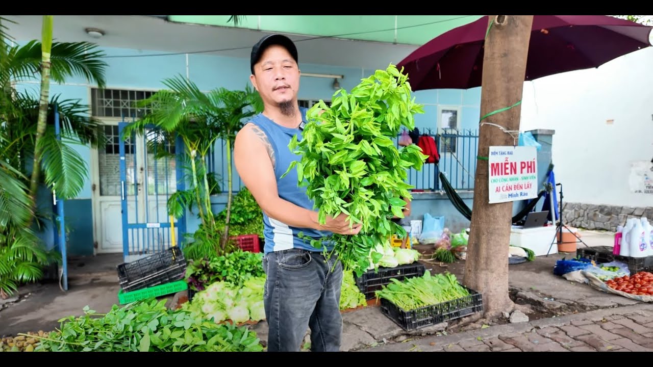 SẠP RAU MINH RÂU HÔM NAY CÓ RAU MIỄN PHÍ - AI CẦN ĐẾN LẤY - YouTube