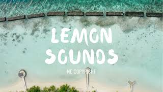 Nekzlo - Palm Shadows (Lemon Sounds – No Copyright)