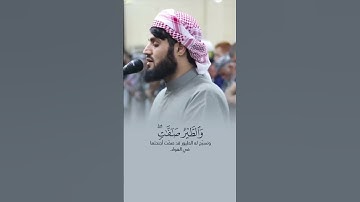 أَلَمْ تَرَ أَنَّ ٱللَّهَ يُسَبِّحُ لَهُۥ مَن فِى ٱلسَّمَٰوَٰتِ وَٱلْأَرْضِ - القارئ رعد الكردي