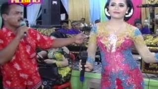 Download Lagu KALI DUREN lagu terbaru NGUDI LARAS MP3