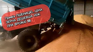 Привіз ПШЕНИЦЮ... ЦІНА ЗЕРНА ДЕШЕВША НІЖ ПРИ ВРОЖАЇ !!!