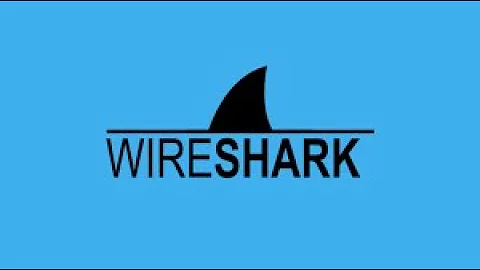 Send ARP request and verify in wireshark