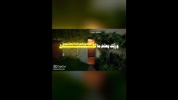 سورة القصص - الشيخ : محمد أيوب ❤️‍🩹