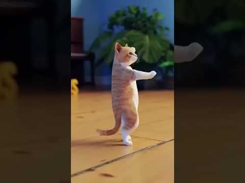 😻Cat Dance😻#fata fat 377#fatafat215