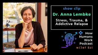 Stress, Trauma, & Addictive Relapse with Dr. Anna Lembke