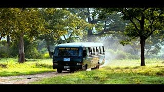 Bandipur Forest Safari - A video tour of Bandipur National Park