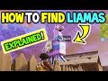 Fortnite Llama Cheat