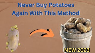How to Re-Grow Potatoes From Sprouted Potatoes