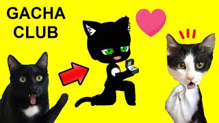 Gacha club pero jugando con gatitos Luna y Estrella / Mini movie en español by Mis gatitos bebés Luna y Estrella 279,686 views 6 months ago 22 minutes