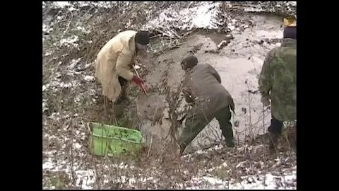 Proč rybníček ležet pod stromy?