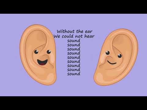 The Ear by Peter Weatherall